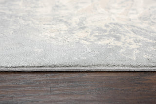 Rizzy Chelsea CHS102 Area Rug Style Image