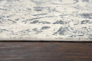 Rizzy Chelsea CHS109 Area Rug Style Image