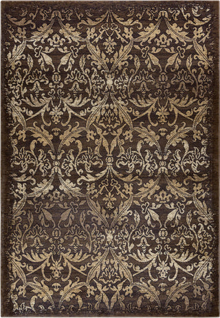 Rizzy Chateau CH4437 Black / Brown Area Rug Main Image