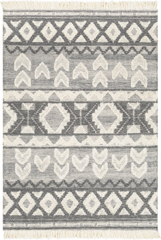 Surya Cheyenne CHY-2308 Area Rug main image