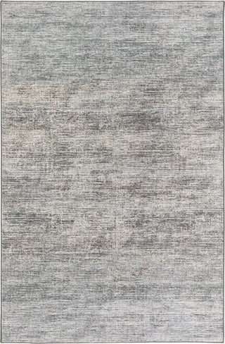 Dalyn Ciara CR1 Graphite Area Rug main image