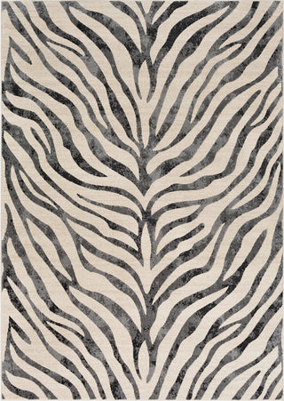 Surya City CIT-2300 Taupe Light Gray Beige Khaki Black Area Rug Mirror main image