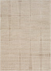 Surya City CIT-2318 Beige Khaki Area Rug Mirror main image