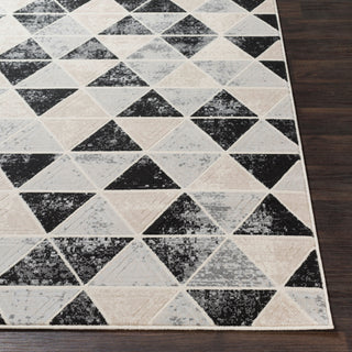 Surya City CIT-2329 Area Rug 