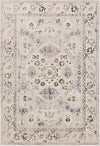 Surya City CIT-2365 Area Rug main image