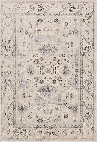 Surya City CIT-2365 Area Rug main image