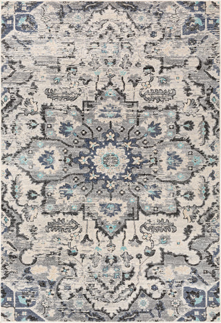 Surya City CIT-2367 Area Rug main image