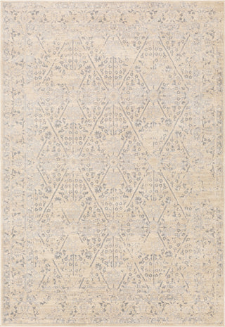 Surya City CIT-2370 Area Rug main image