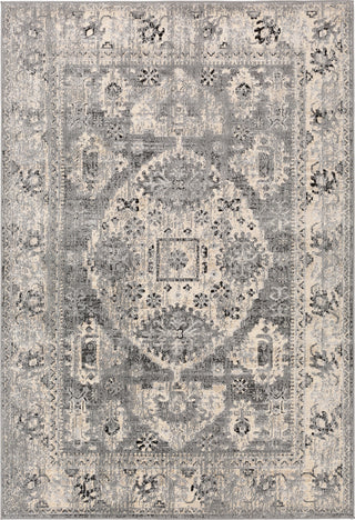 Surya City CIT-2379 Area Rug main image