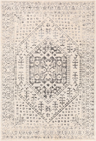 Surya City CIT-2381 Area Rug Main Image 