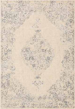 Surya City CIT-2387 Area Rug main image