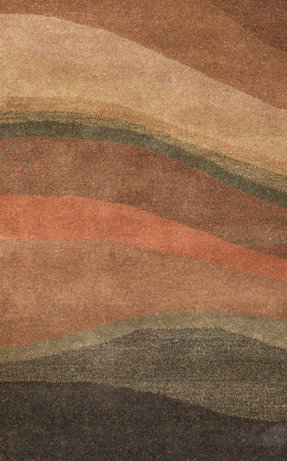 Rizzy Colours CL1783 Area Rug