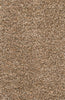 Loloi Cleo Shag CO-01 Brown / Multi Area Rug main image