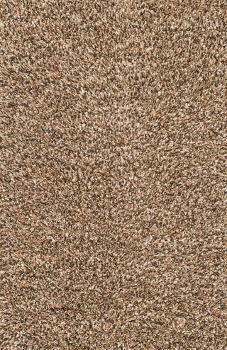 Loloi Cleo Shag CO-01 Brown / Multi Area Rug main image