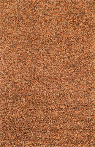 Loloi Cleo Shag CO-01 Rust Area Rug main image