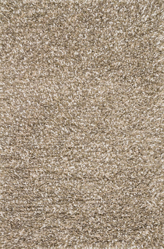 Loloi Cleo Shag CO-01 Stone Area Rug main image