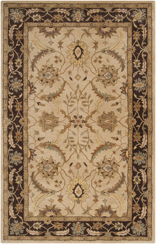 Surya Clifton CLF-1013 Beige Area Rug 5' x 8'