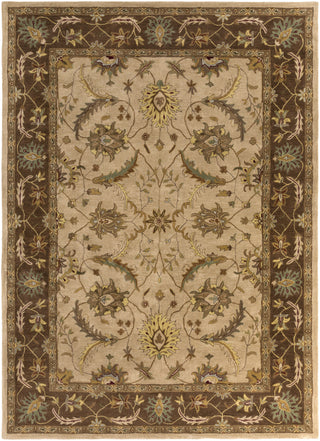 Surya Clifton CLF-1013 Beige Area Rug 8' x 11'