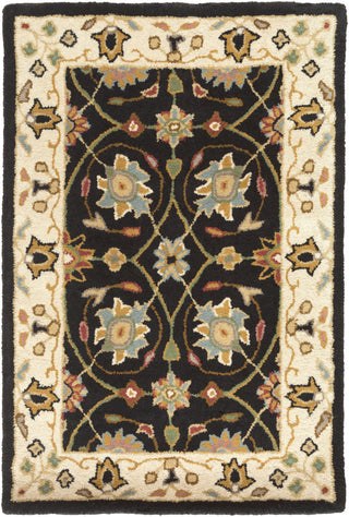 Surya Clifton CLF-1024 Black Area Rug 2' x 3'