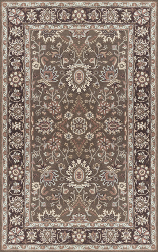 Surya Clifton CLF-1027 Olive Area Rug 