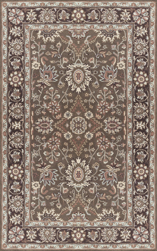 Surya Clifton CLF-1027 Area Rug