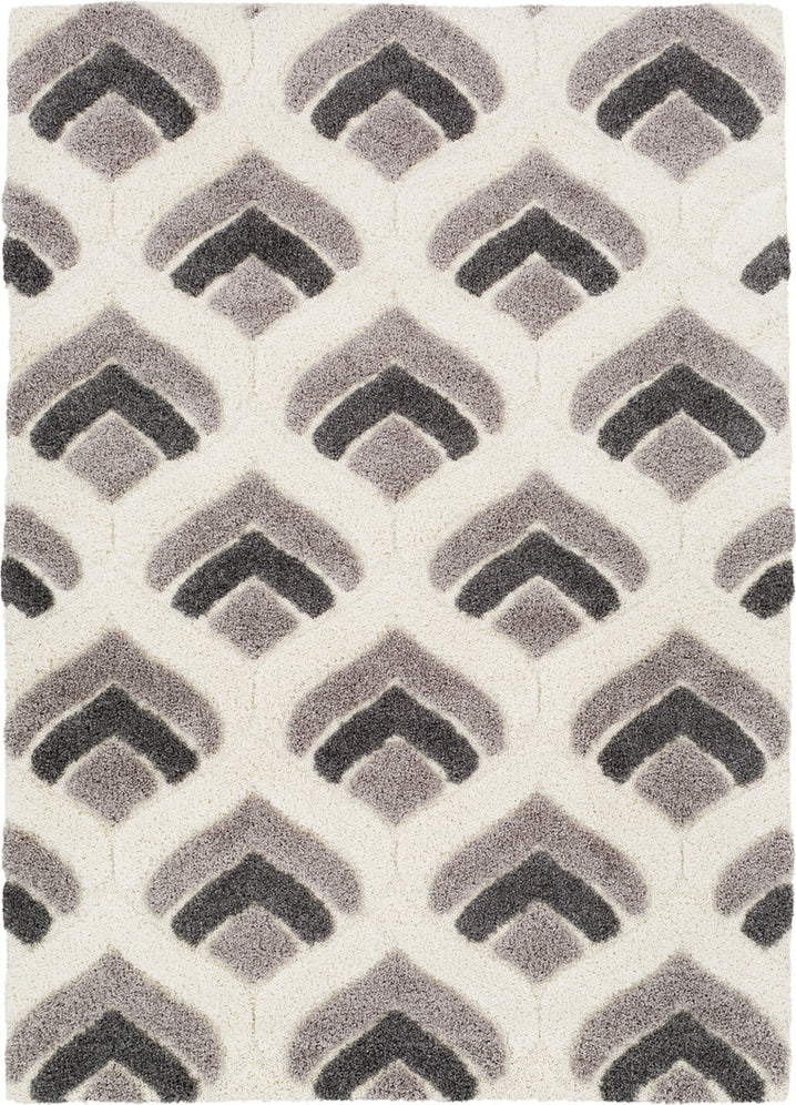 Surya Cut and Loop Shag CLG-2302 Area Rug main image