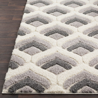 Surya Cut and Loop Shag CLG-2302 Area Rug Detail Image