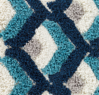 Surya Cut and Loop Shag CLG-2303 Area Rug Swatch Image