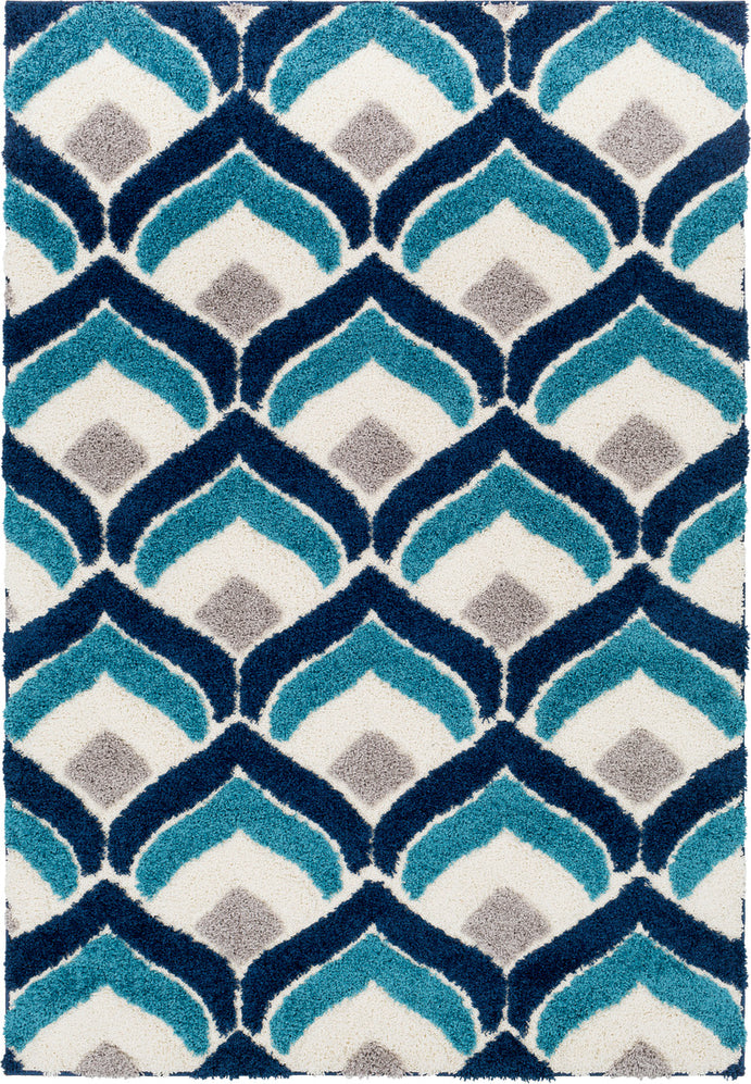 Surya Cut and Loop Shag CLG-2303 Area Rug main image