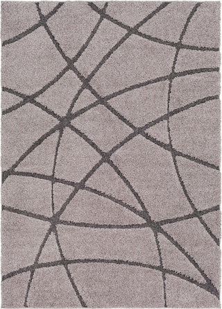 Surya Cut and Loop Shag CLG-2304 Area Rug main image