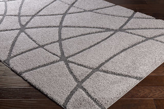 Surya Cut and Loop Shag CLG-2304 Area Rug Corner Image