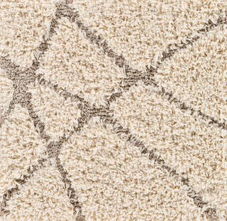 Surya Cut and Loop Shag CLG-2305 Cream Tan Area Rug Swatch Image