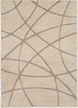 Surya Cut and Loop Shag CLG-2305 Cream Tan Area Rug main image