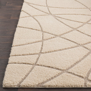 Surya Cut and Loop Shag CLG-2305 Cream Tan Area Rug Detail Image