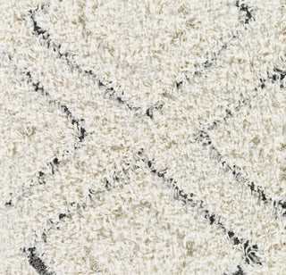 Surya Cut and Loop Shag CLG-2306 Area Rug Swatch Image