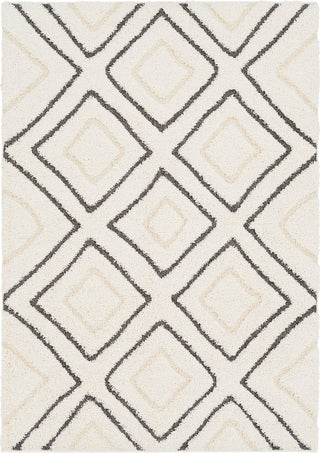 Surya Cut and Loop Shag CLG-2306 Area Rug main image