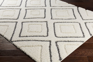 Surya Cut and Loop Shag CLG-2306 Area Rug Corner Image