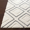 Surya Cut and Loop Shag CLG-2306 Area Rug Detail Image