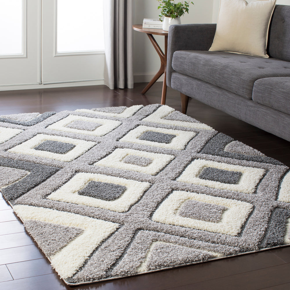 Surya Cut and Loop Shag CLG-2307 Area Rug Room Image Feature