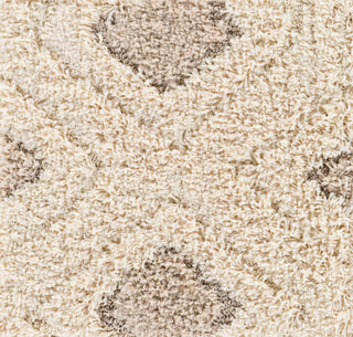 Surya Cut and Loop Shag CLG-2308 Cream Tan Area Rug Swatch Image