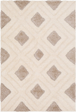 Surya Cut and Loop Shag CLG-2308 Cream Tan Area Rug main image