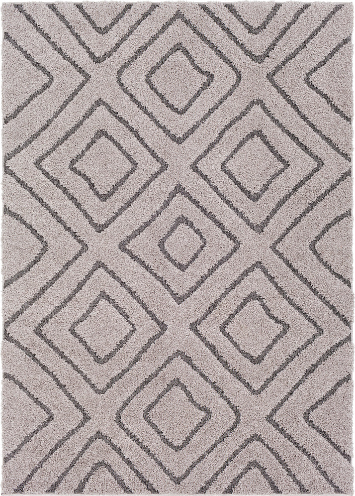 Surya Cut and Loop Shag CLG-2309 Area Rug main image