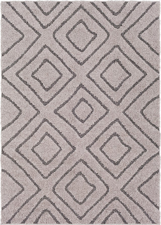 Surya Cut and Loop Shag CLG-2309 Area Rug main image