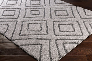 Surya Cut and Loop Shag CLG-2309 Area Rug Corner Image