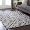 Surya Cut and Loop Shag CLG-2309 Area Rug Room Image Feature