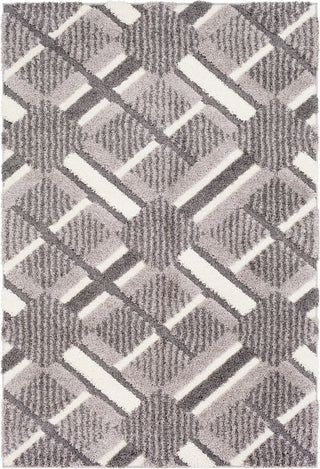 Surya Cut and Loop Shag CLG-2310 Area Rug main image