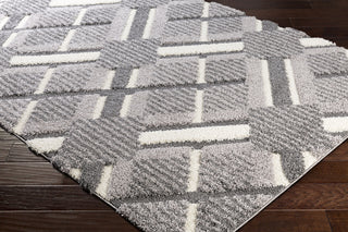 Surya Cut and Loop Shag CLG-2310 Area Rug Corner Image