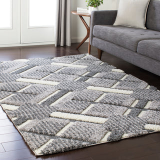 Surya Cut and Loop Shag CLG-2310 Area Rug Room Image Feature