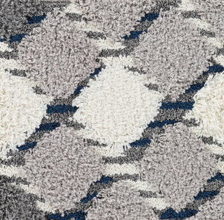 Surya Cut and Loop Shag CLG-2311 Area Rug Swatch Image