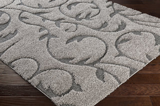 Surya Cut and Loop Shag CLG-2312 Area Rug Corner Image